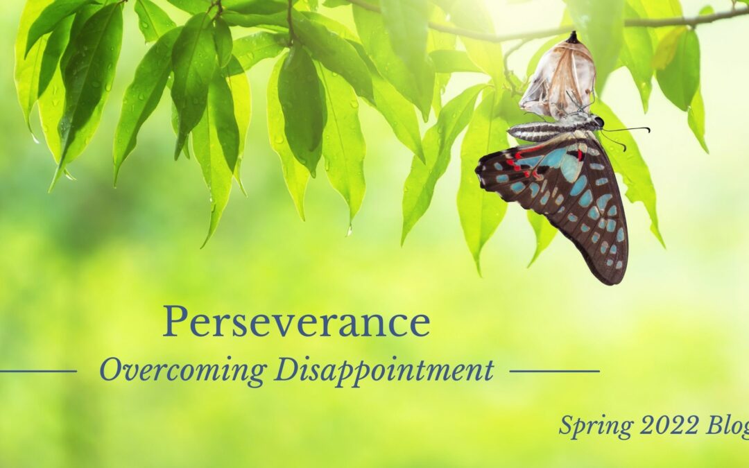 Perseverance