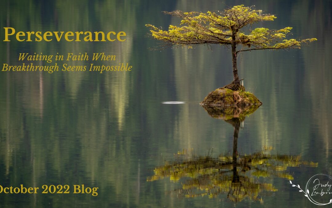 Perseverance – Waiting in Faith When Breakthrough Seems Impossible