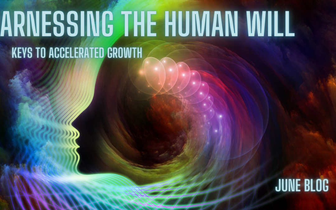 Harnessing The Human Will