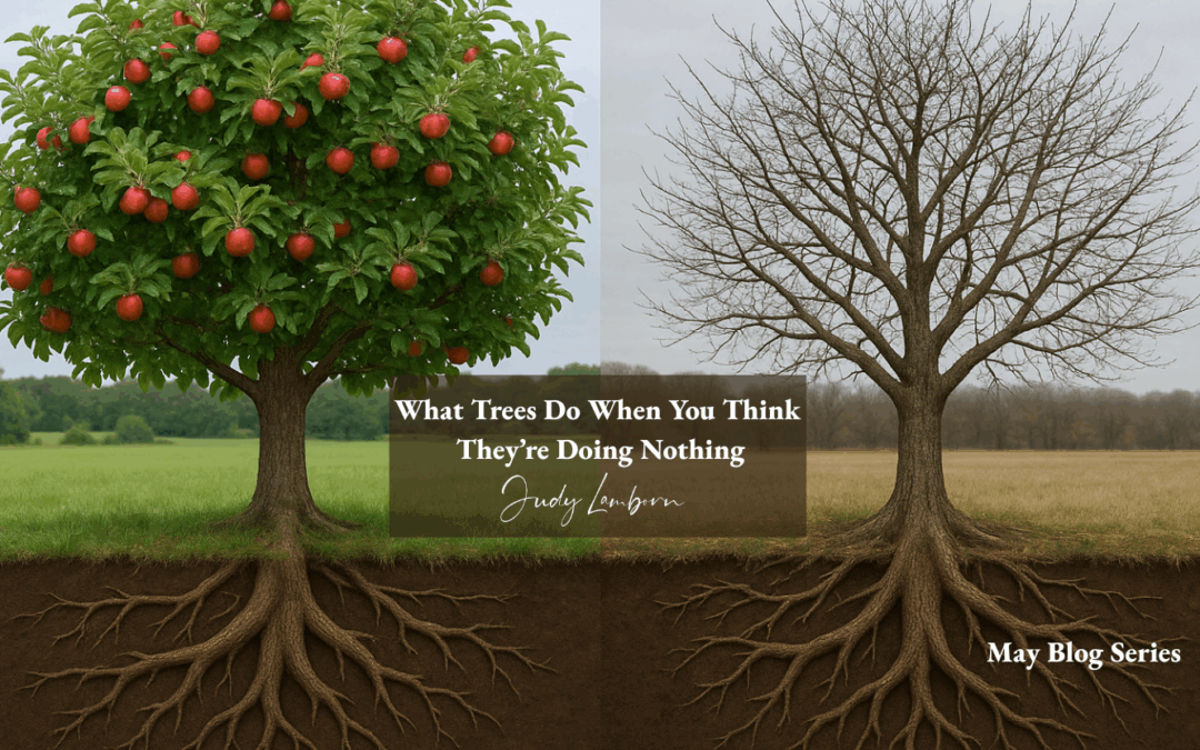 What Trees Do When You Think They’re Doing Nothing – Why a Lack of Fruit Doesn’t Mean a Lack of Growth